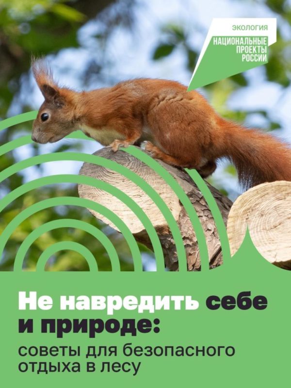 Чтобы отдых не стал причиной пожара