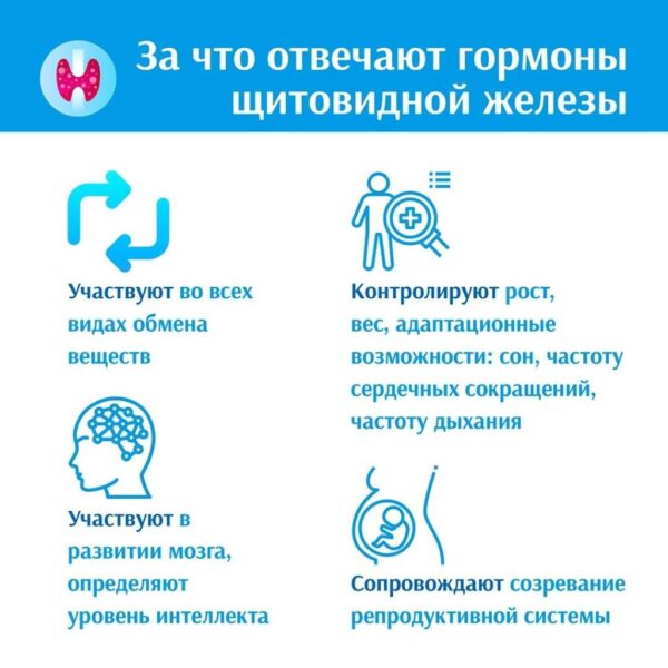 25 мая — Всемирный день щитовидной железы