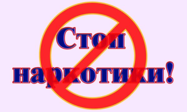Курянка выращивала марихуану на своём участке