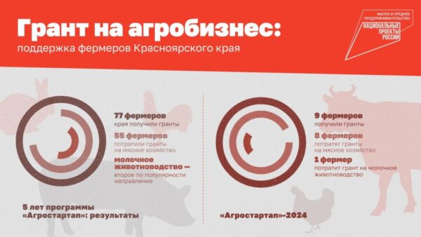 Грант на агробизнес можно получить по нацпроекту «Малое и среднее предпринимательство»
