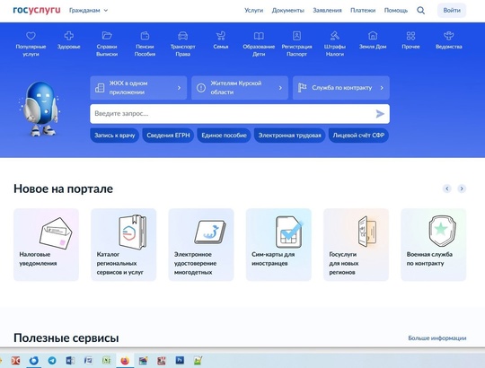 Минцифры области вывело на портал госуслуг два новых сервиса