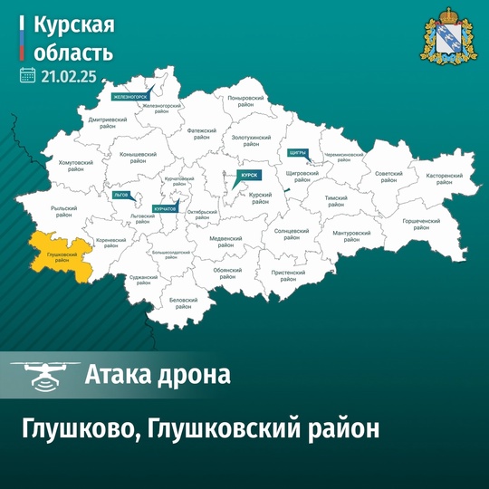 Врио губернатора Курской области Александр Хинштейн: