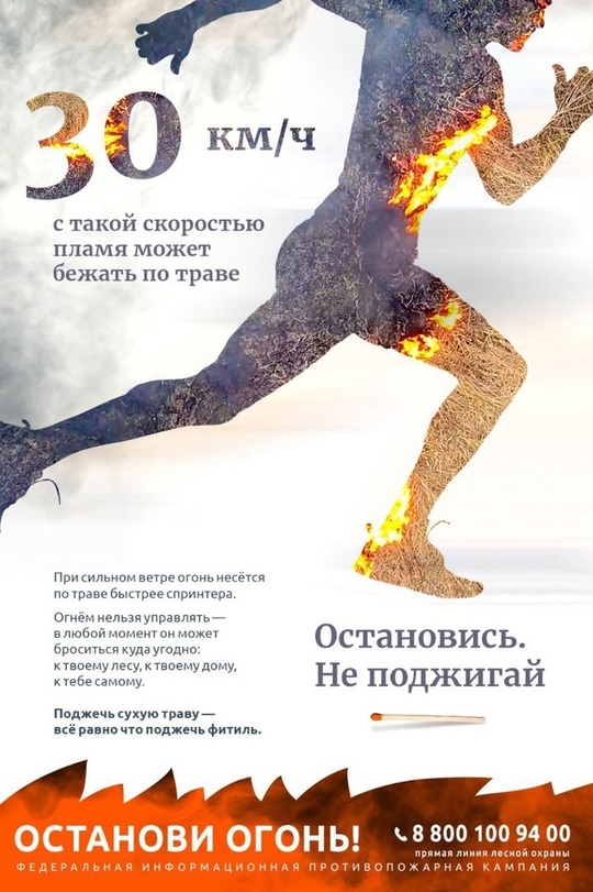 Курская область присоединилась к Федеральной информационной противопожарной кампании «Останови огонь!»