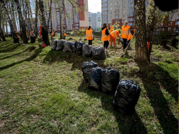 В Курской области подвели итоги всероссийского субботника