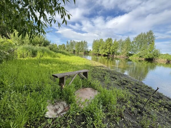 В лёгкой дымке тумана река